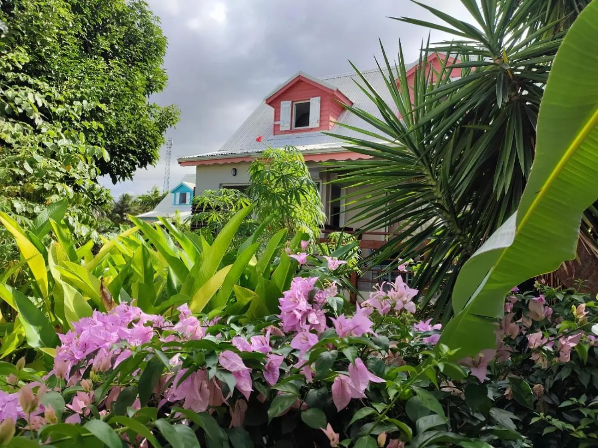 Charmante Villa Avec Acces Direct A La Mer Sainte-Rose Holiday home