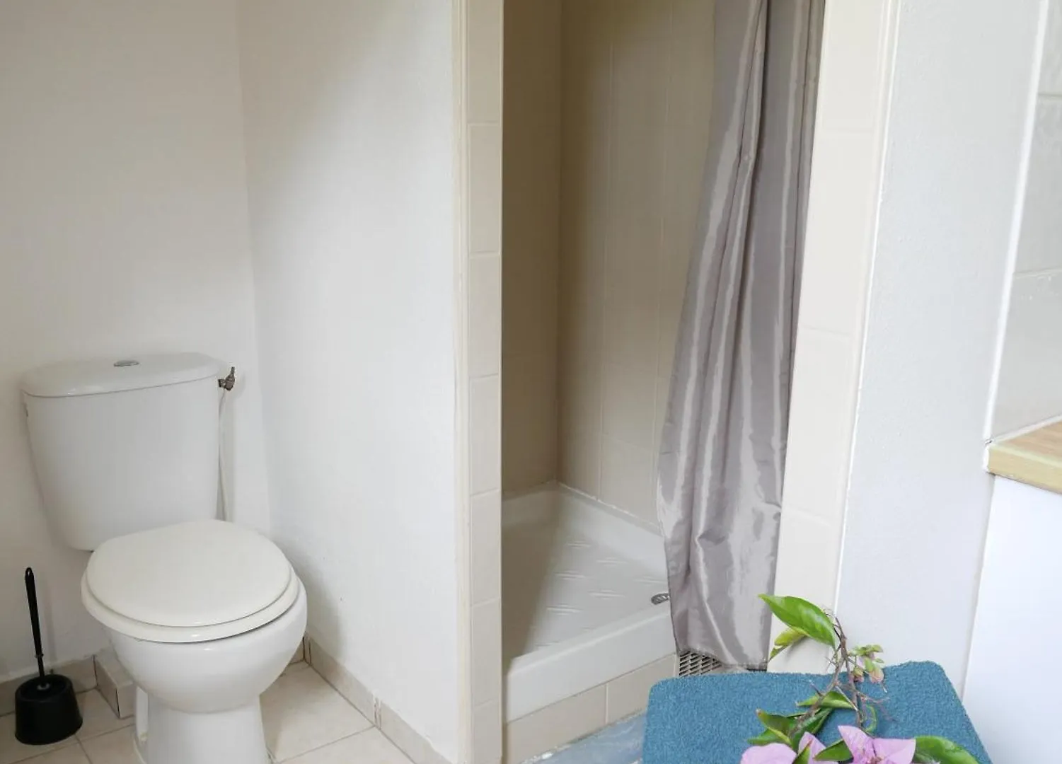 Holiday home Charmante Villa Avec Acces Direct A La Mer Sainte-Rose Guadeloupe