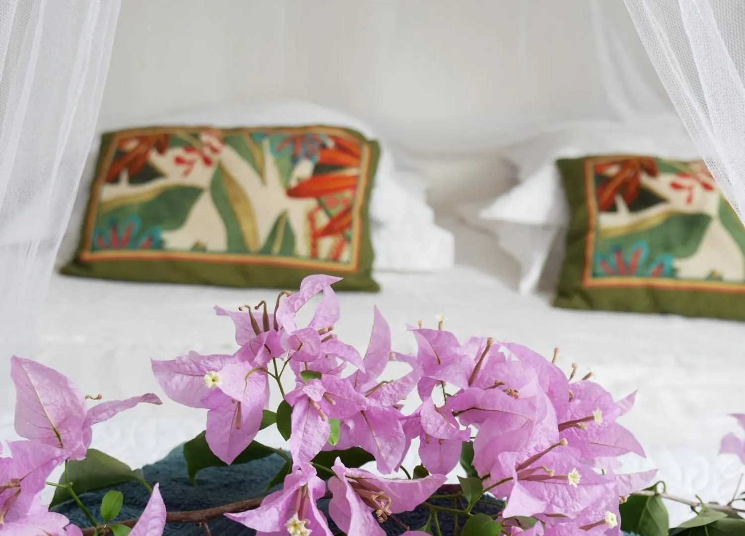 Holiday home Charmante Villa Avec Acces Direct A La Mer Sainte-Rose
